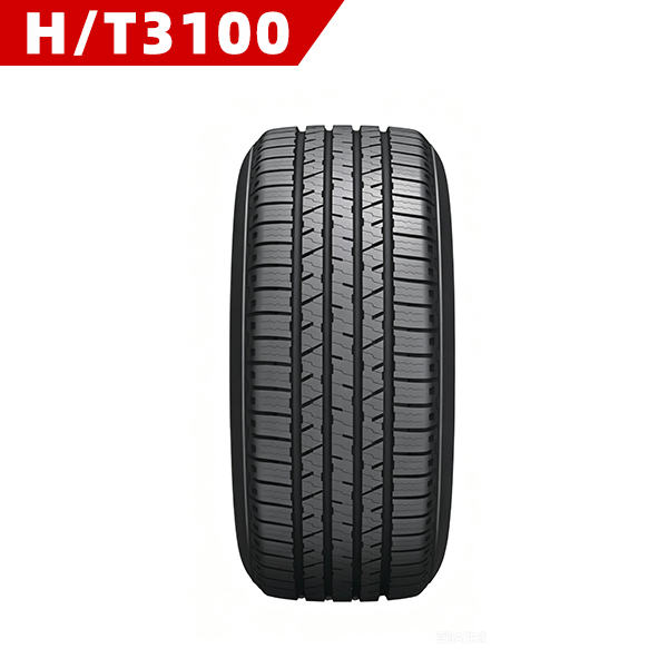 HT3100.jpg